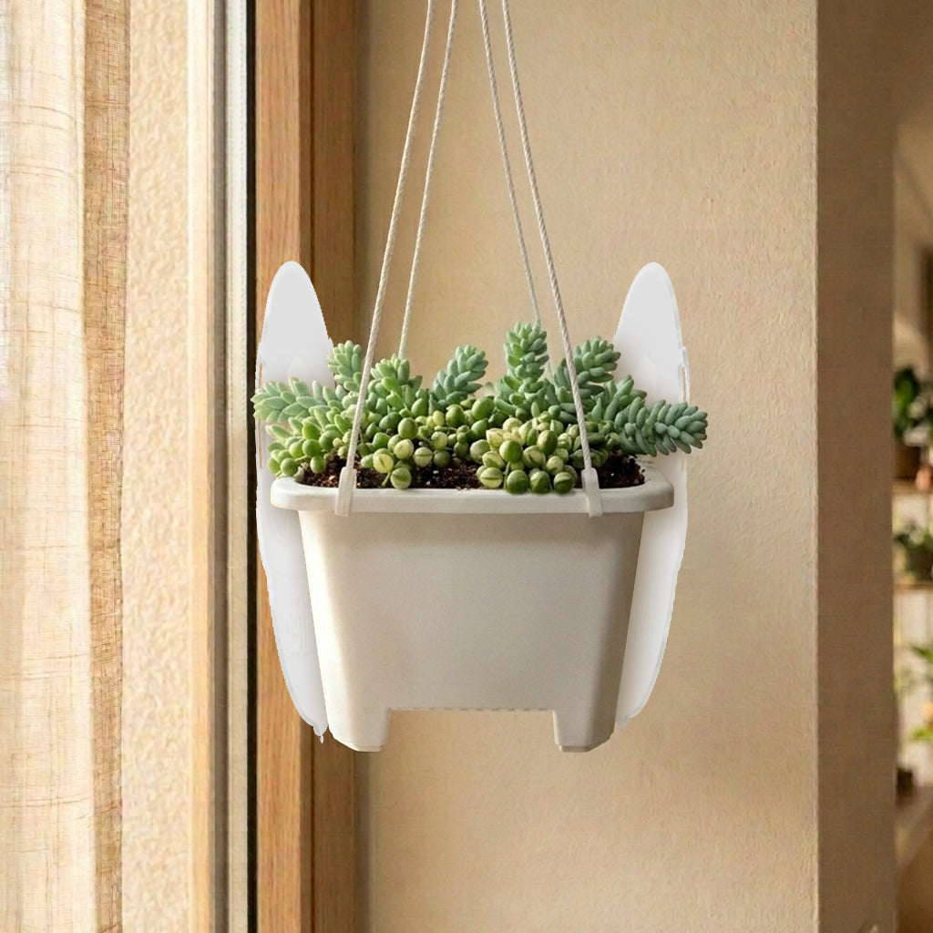Personalized The Force Hanging Pot with Custom Name for Home Decor Hanging Pot GradoCreations
