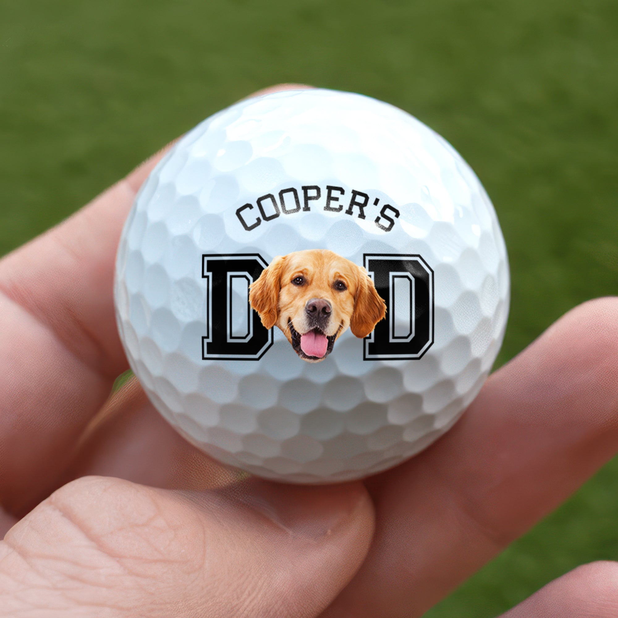 Personalized Photo Golf Ball Gift for Dog Dad or Cat Mom HN590 - Golf Ball GradoCreations