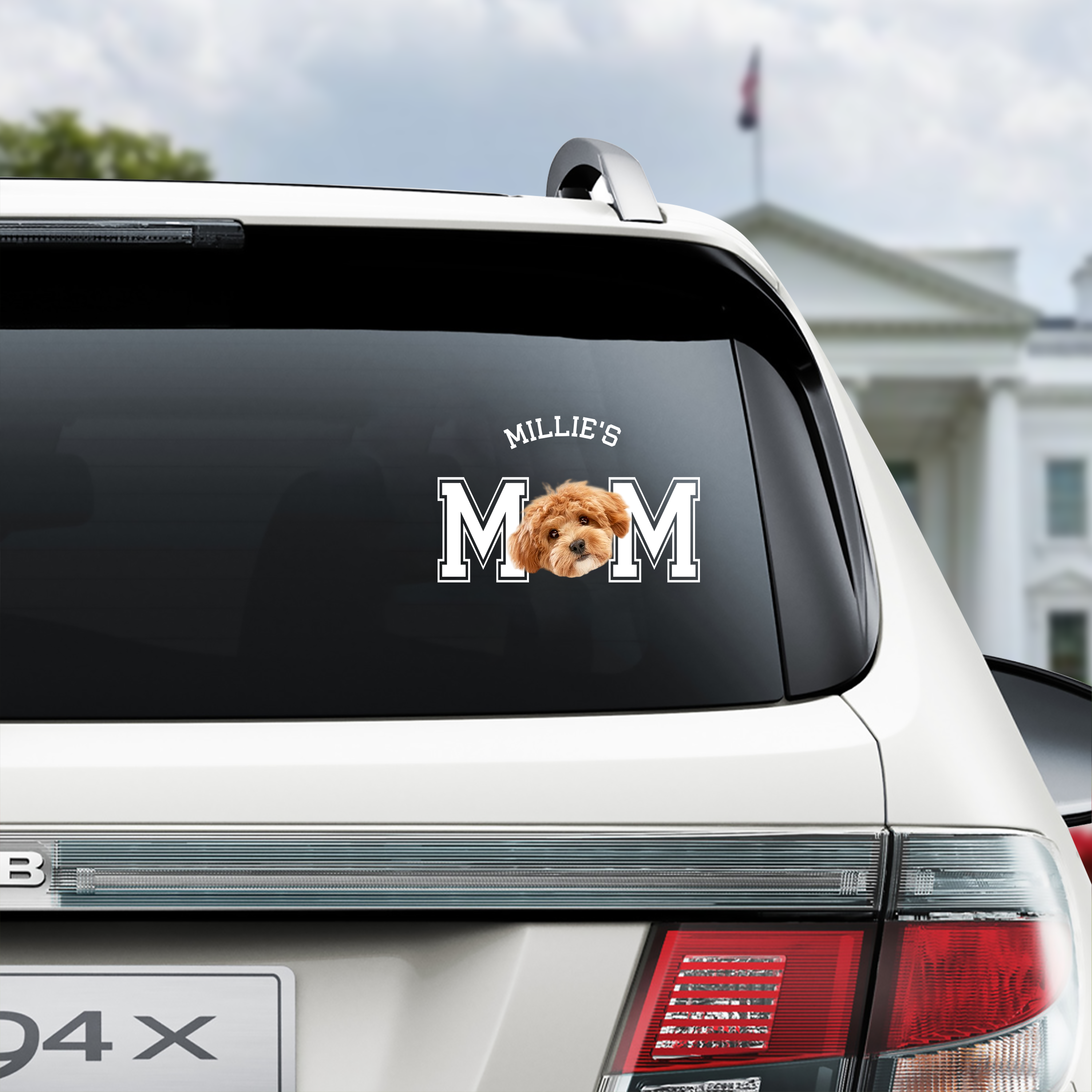 Personalized Dog Cat Photo Car Sticker Gift for Dog Dad Decal Sticker GradoCreations