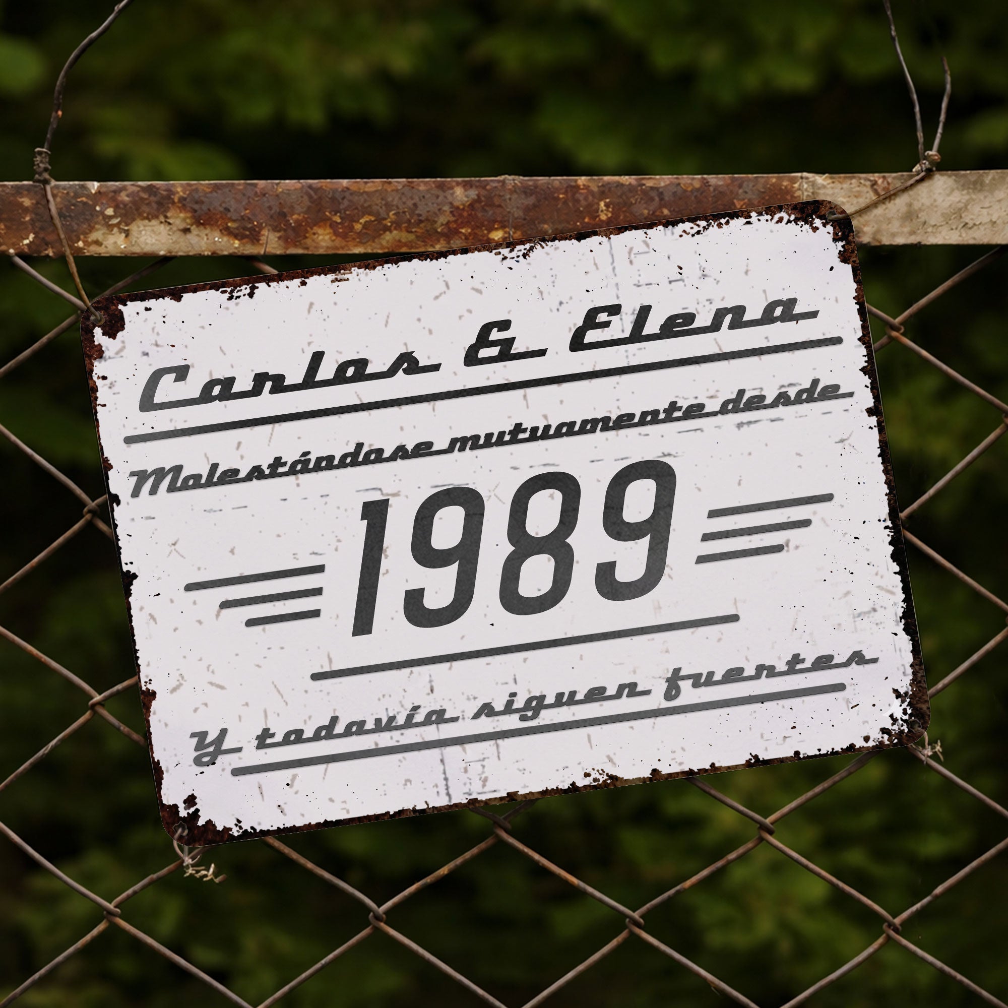 Personalized Metal Sign Custom Couple Names Gift Anniversary Metal Sign GradoCreations