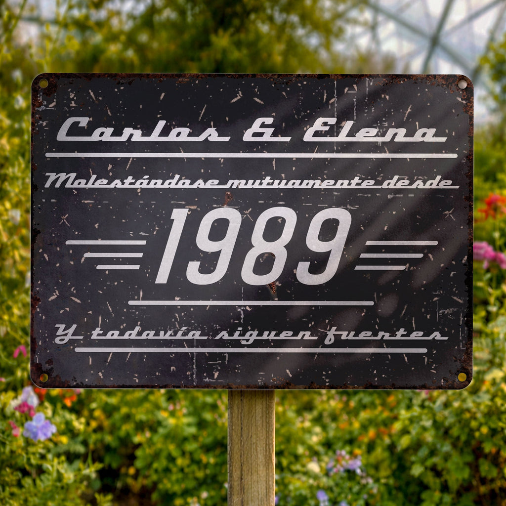 Personalized Metal Sign Custom Couple Names Gift Anniversary Metal Sign GradoCreations