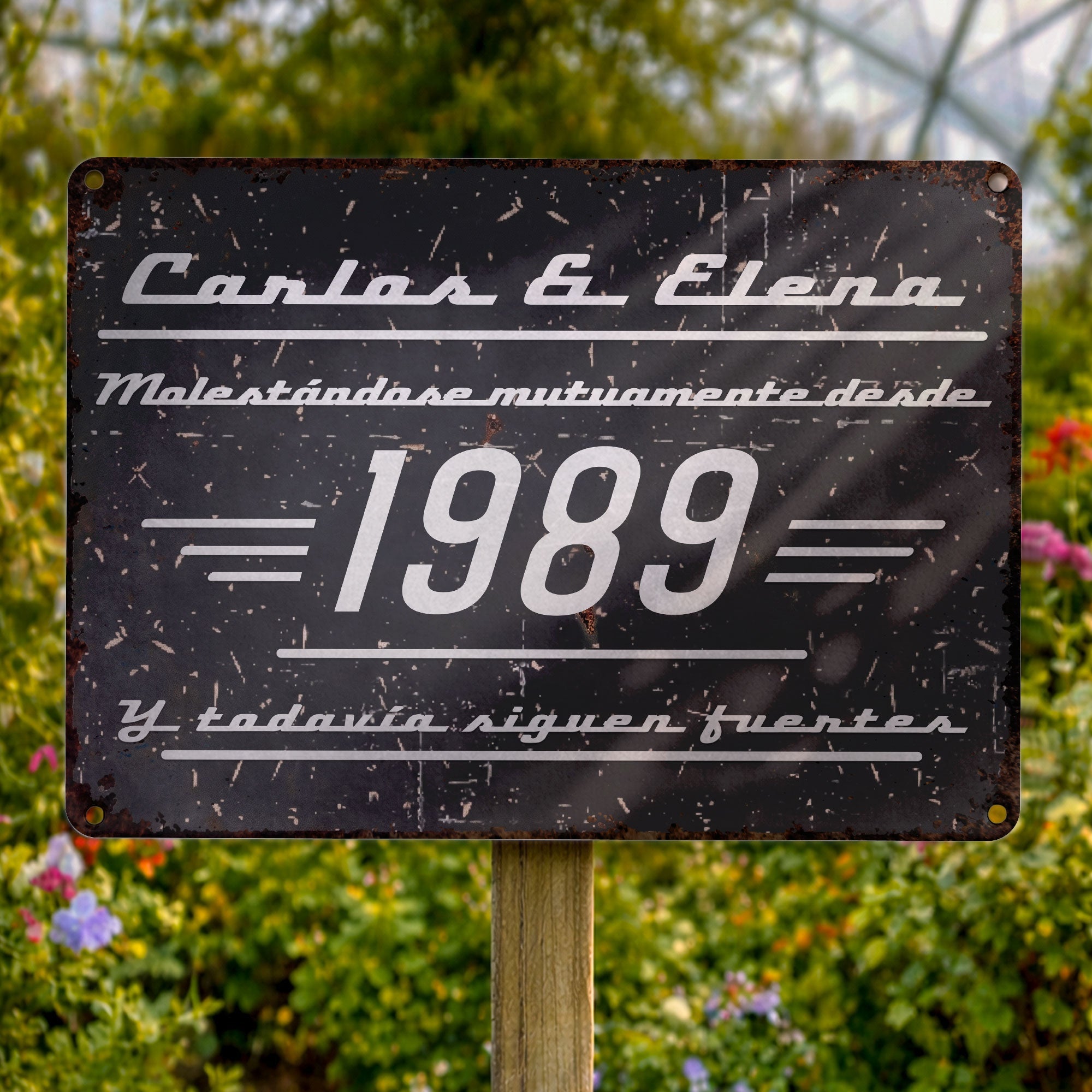 Personalized Metal Sign Custom Couple Names Gift Anniversary Metal Sign GradoCreations