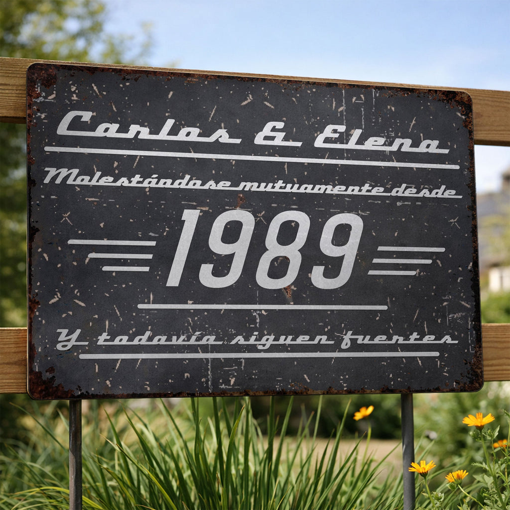 Personalized Metal Sign Custom Couple Names Gift Anniversary Metal Sign GradoCreations