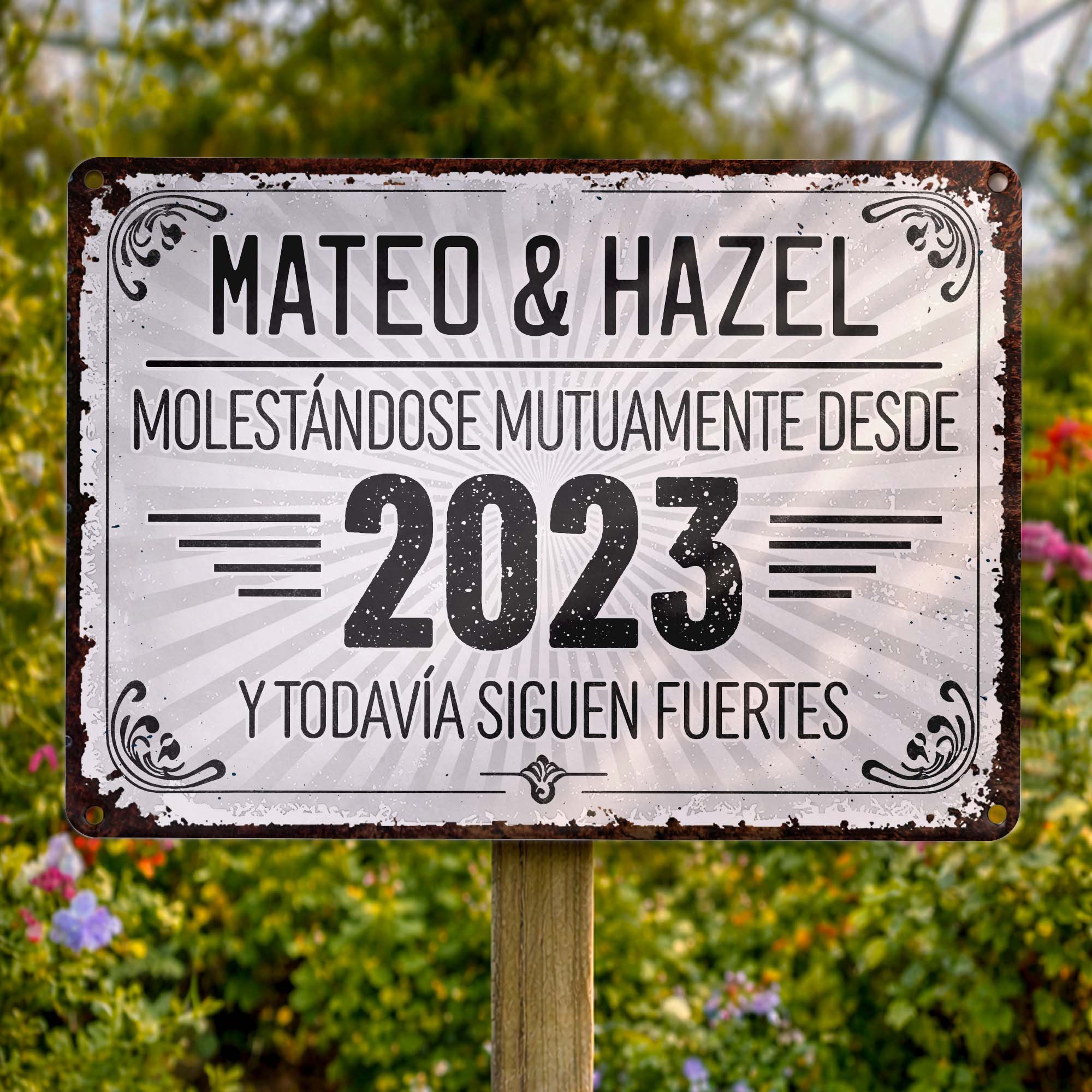 Personalized Metal Sign Custom Name Gift for Couples Anniversary Metal Sign GradoCreations