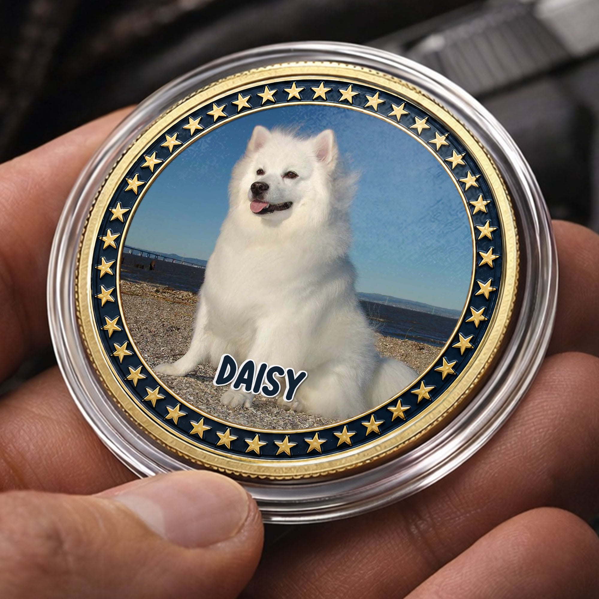 Custom Dog Photo Commemorative Coin for Dog Lovers | 4th of July Gift Commemorative Coin GradoCreations
