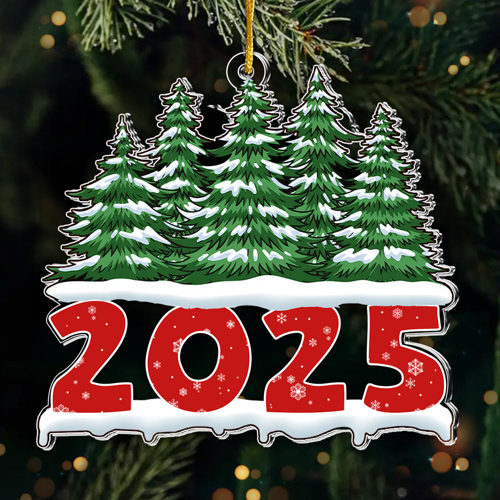 Personalized Family Acrylic Ornament Christmas Gift 2025