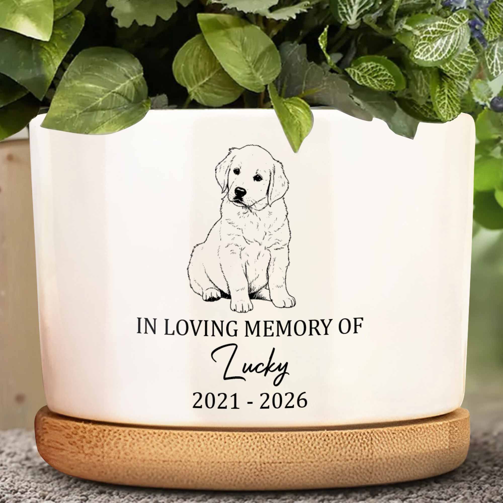 Personalized Memorial Dog Ceramic Plant Pot Custom Gift Ceramic Plant Pot GradoCreations