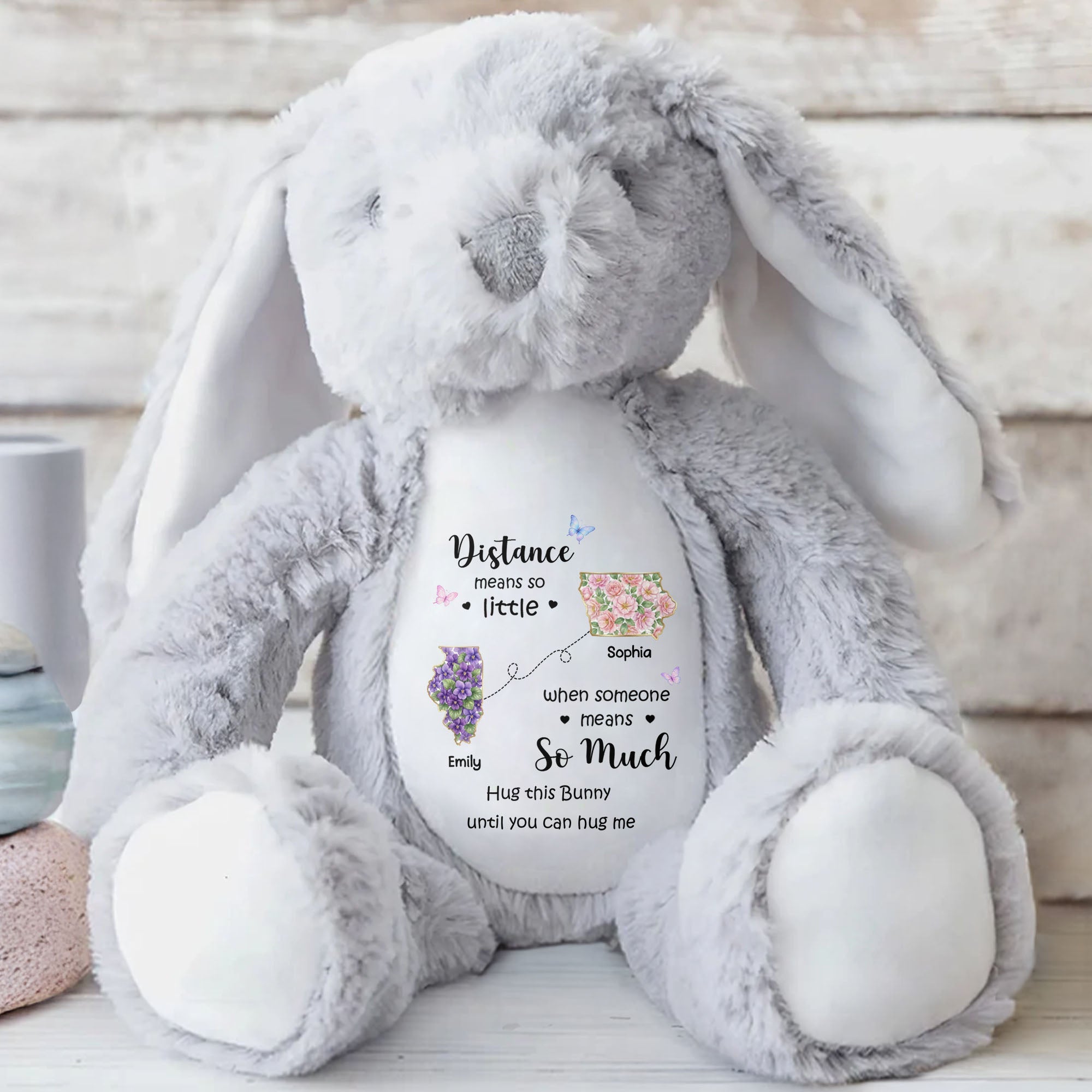 Personalized Plush Stuffed Bunny Custom Name Gift for Sister Stuffed Bunny GradoCreations