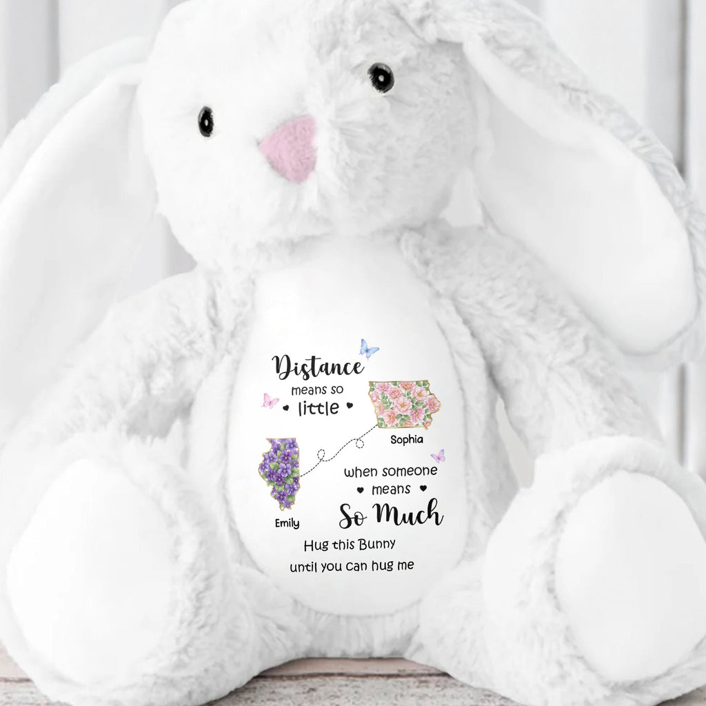 Personalized Plush Stuffed Bunny Custom Name Gift for Sister Stuffed Bunny GradoCreations