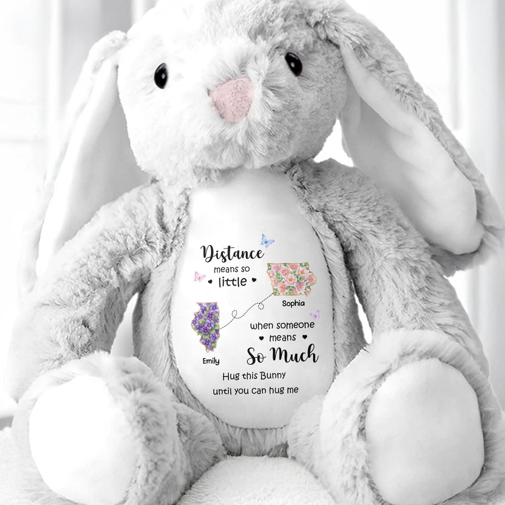 Personalized Plush Stuffed Bunny Custom Name Gift for Sister Stuffed Bunny GradoCreations