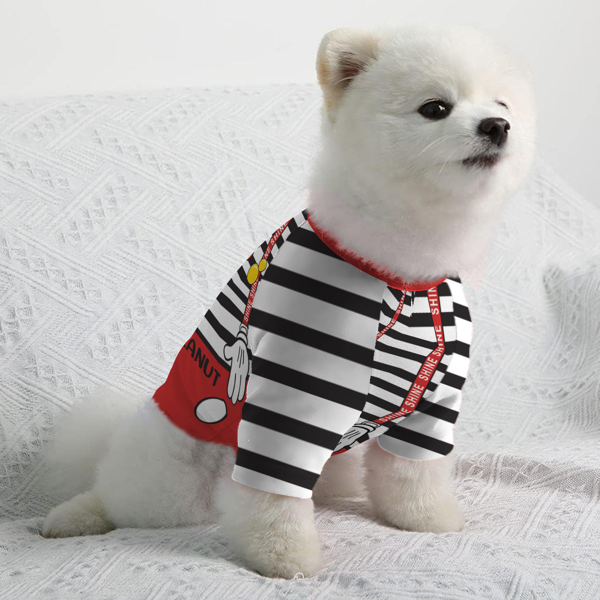Personalized Halloween Pet Shirt with Mouse Ears Costume for Dogs Pet Shirt GradoCreations