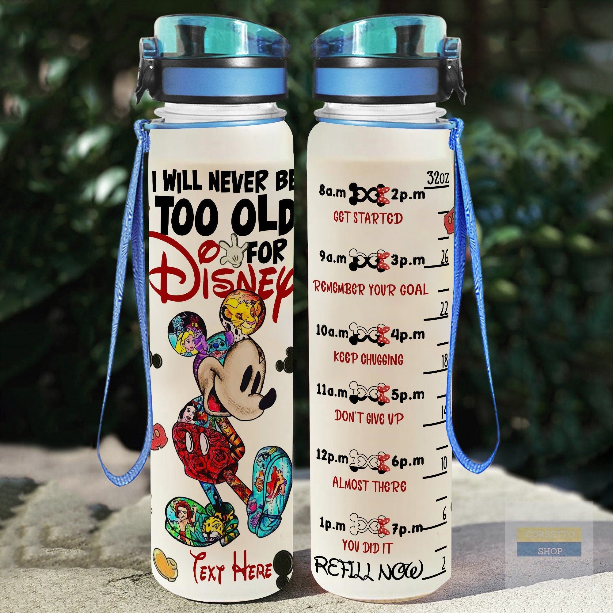 Personalized Disney Water Tracker Bottle with Fruit Infuser for Kids Water Tracker Bottle GradoCreations
