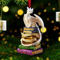 Personalized Book Dragon Acrylic Ornament Gift for Book Lovers
