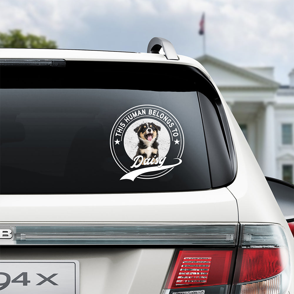 Personalized Dog Cat Car Window Decal Custom Photo Gift for Pet Lovers Decal Sticker GradoCreations