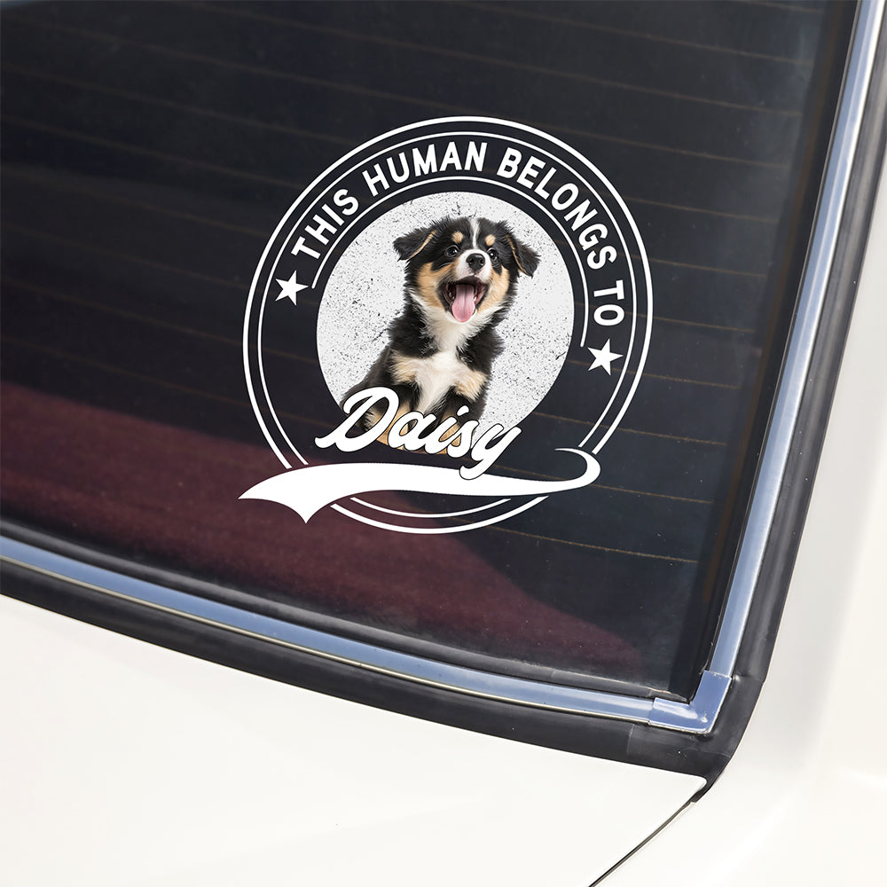 Personalized Dog Cat Car Window Decal Custom Photo Gift for Pet Lovers Decal Sticker GradoCreations